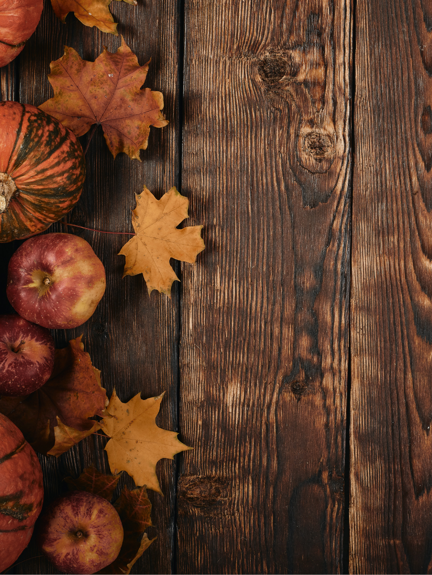 Dad pushing Daughter in Cardboard Box on Hardwood Floors
